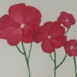 Meet your Posher, Erin